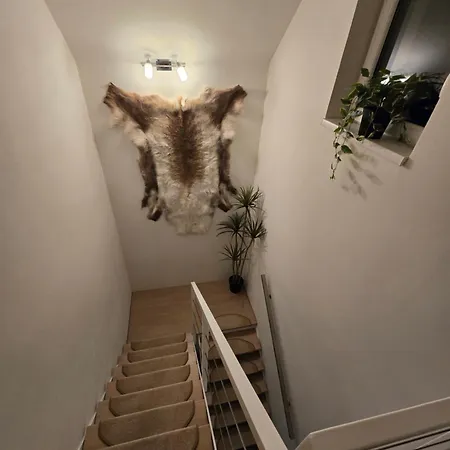 度假居 Dom Pri Jazere *