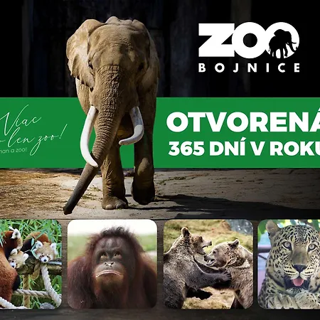 Vakantiehuis Dom Pri Jazere *