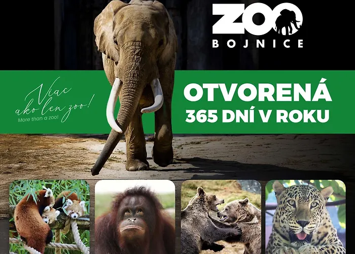 Tatil Evi Dom Pri Jazere *